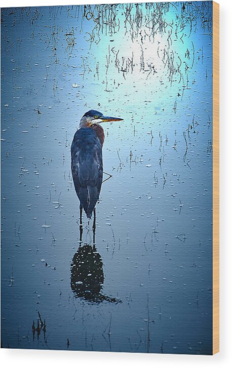 Blue Heron Wood Print featuring the photograph Blue Heron by Loni Collins