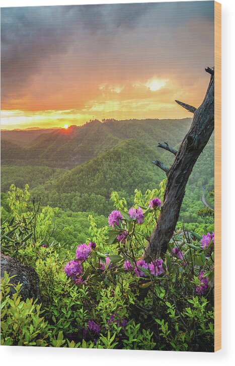 Sunset Wood Print featuring the photograph Breaks Interstate Park KY VA Sunset Scenic Rhododendron by Robert Stephens