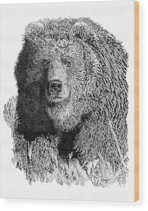 Pen Wood Print featuring the drawing Bear 1 #1 by David Doucot