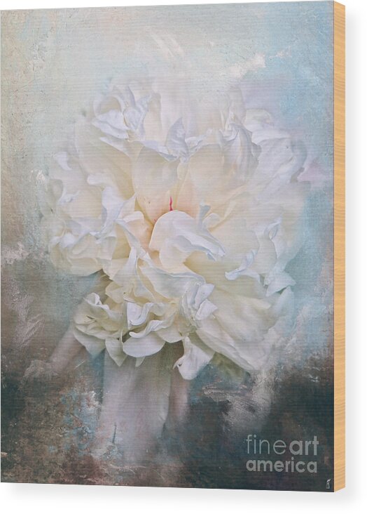 Abstract Wood Print featuring the photograph Abstract Peony in Blue by Jai Johnson