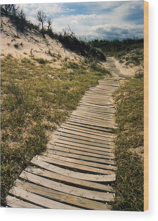 Dunes Wood Print featuring the photograph Secret Path by Gerlinde Keating