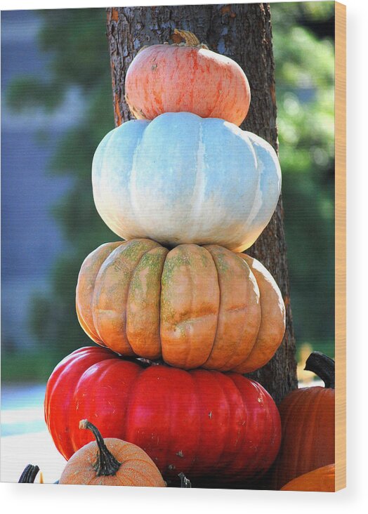 Autumn Wood Print featuring the photograph Four Pumpkins by Jai Johnson