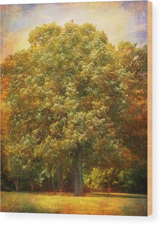 Autumn Wood Print featuring the photograph Graves Grove by Jai Johnson