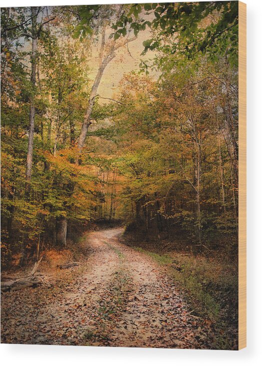 Autumn Wood Print featuring the photograph Nature's Harmony by Jai Johnson