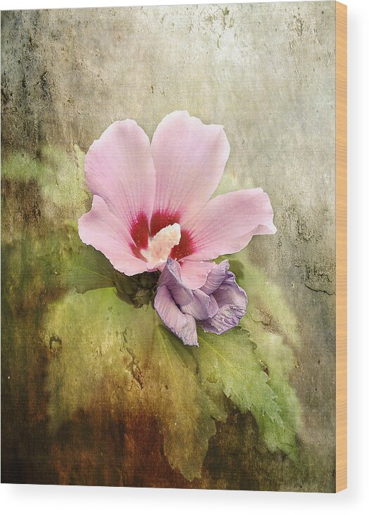 Hibiscus Wood Print featuring the photograph Romantic Hibiscus Flower by Jai Johnson