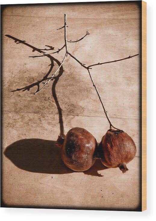 Pomegranates Wood Print featuring the photograph Albuquerque, New Mexico - Twin Pomegranates by Mark Forte