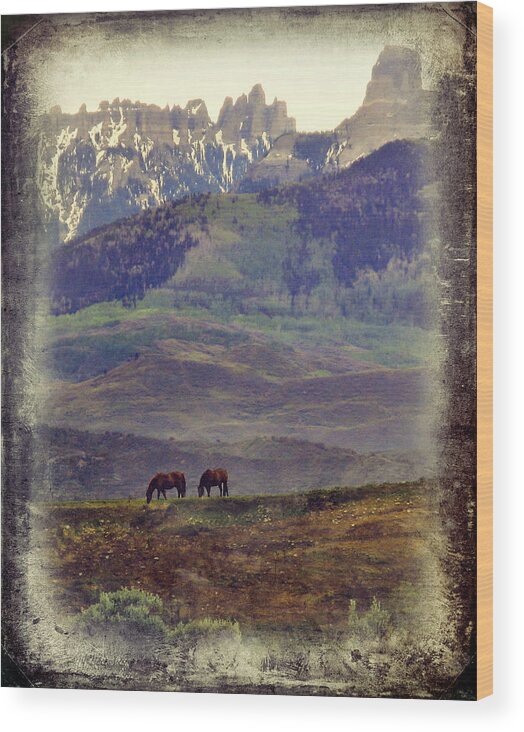 Horses Wood Print featuring the photograph Two Horses by Rick Wicker