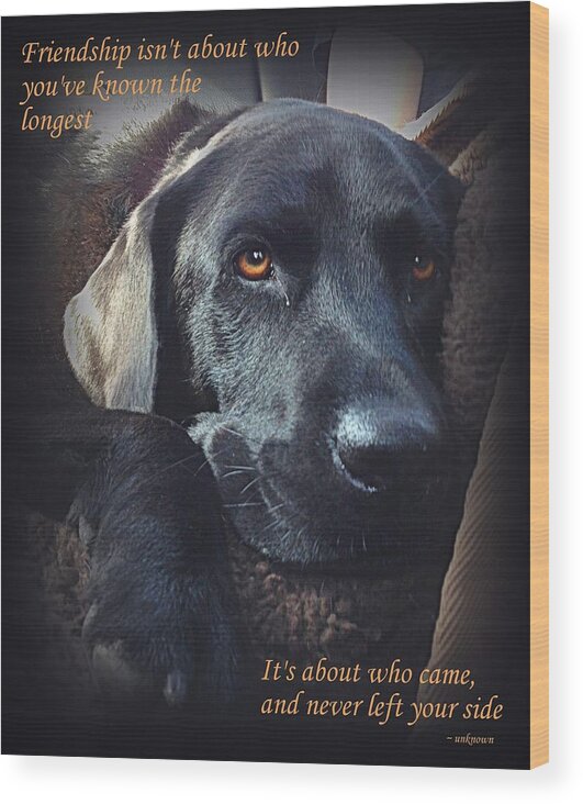 Black Lab Wood Print featuring the photograph Custom Paw Print Midnight by Sue Long