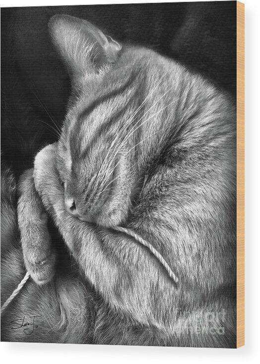 Cat With String Wood Print featuring the photograph I Shall Call Him Stringy by Shevon Johnson