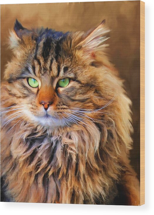 Maine Coon Wood Print featuring the painting Maine Coon Cat by Jai Johnson