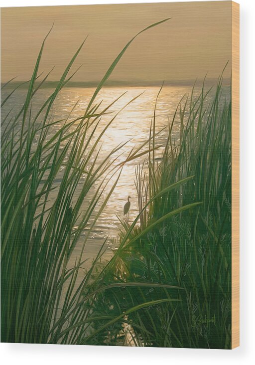 Cape Cod Wood Print featuring the digital art Marsh Sunset by Sue Brehant