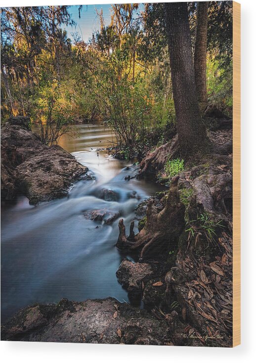 Landscape Wood Print featuring the photograph Touchable Soft by Marvin Spates