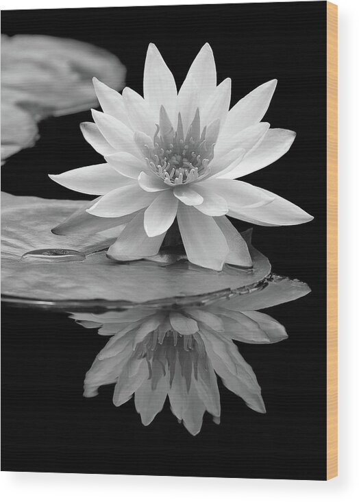 Beautiful Wood Print featuring the photograph Water Lily Reflections I by Dawn Currie