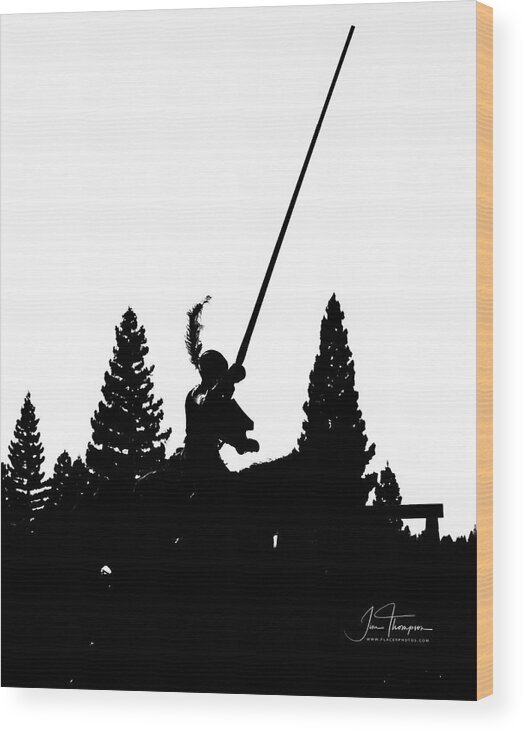 Equine Wood Print featuring the photograph Knight Silhouette by Jim Thompson