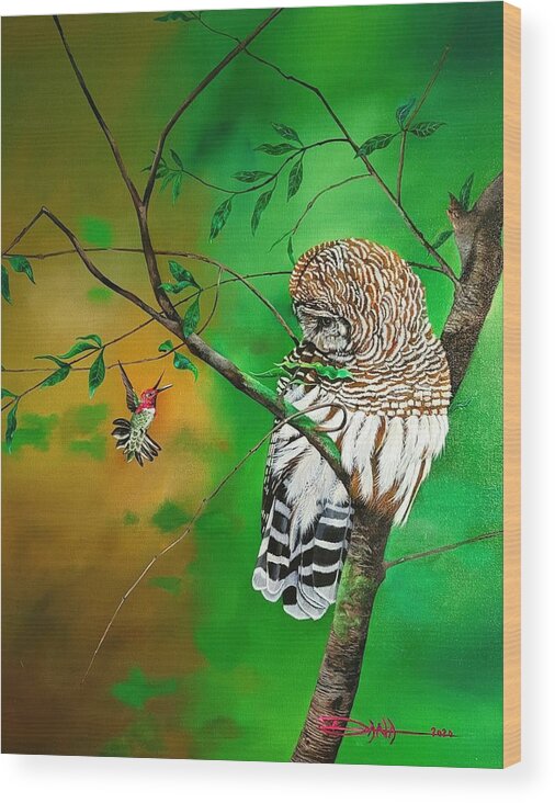 Birds Wood Print featuring the painting Barred Owl and Anna's hummingbird by Dana Newman