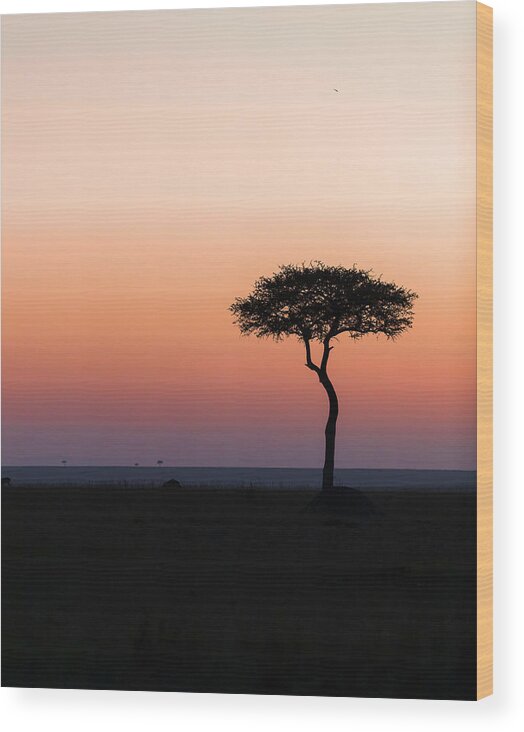 Africa Wood Print featuring the photograph Dawn in the Mara 02 by Murray Rudd
