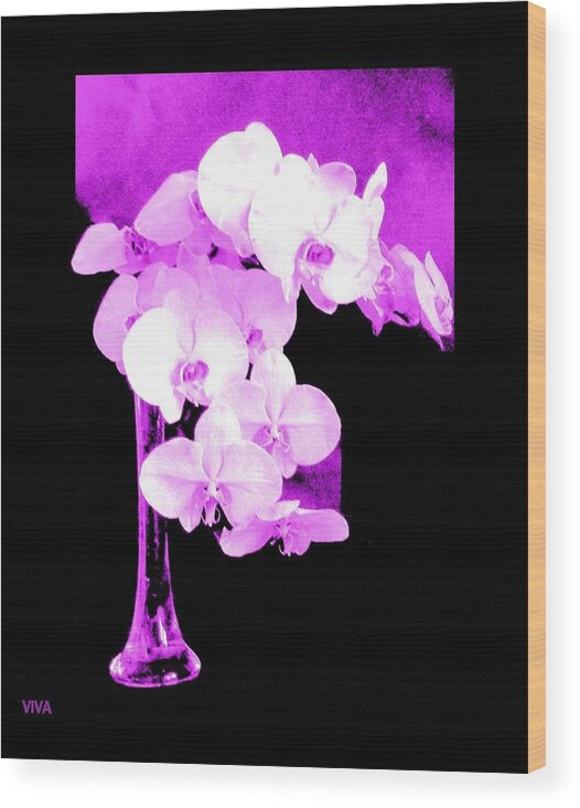 Orchids Wood Print featuring the photograph Orchid Orchids by VIVA by VIVA Anderson