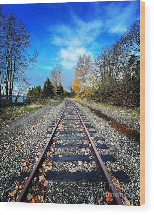 Railroad Tracks Wood Print featuring the photograph Tracking Time by Suzanne Lorenz