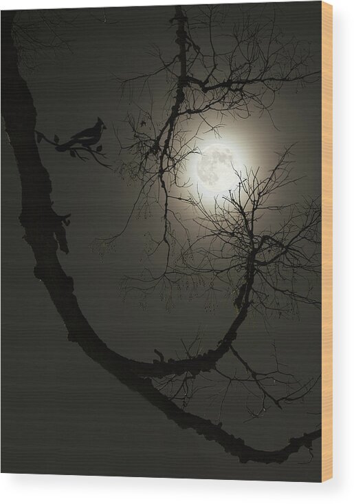Wolf Moon Wood Print featuring the photograph Tree Captures Wolf as Cardinal Looks On - Wolf Moon with hackberry tree - Vertical crop by Peter Herman