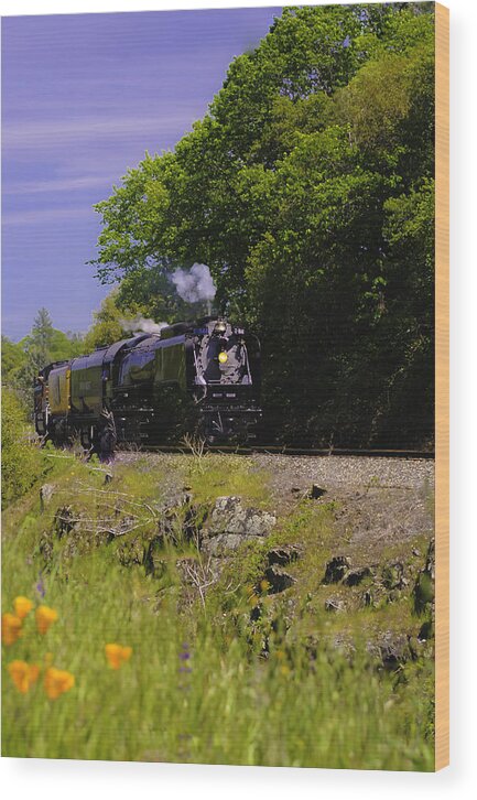 Steam Train Wood Print featuring the photograph Steam Train by Sherri Meyer