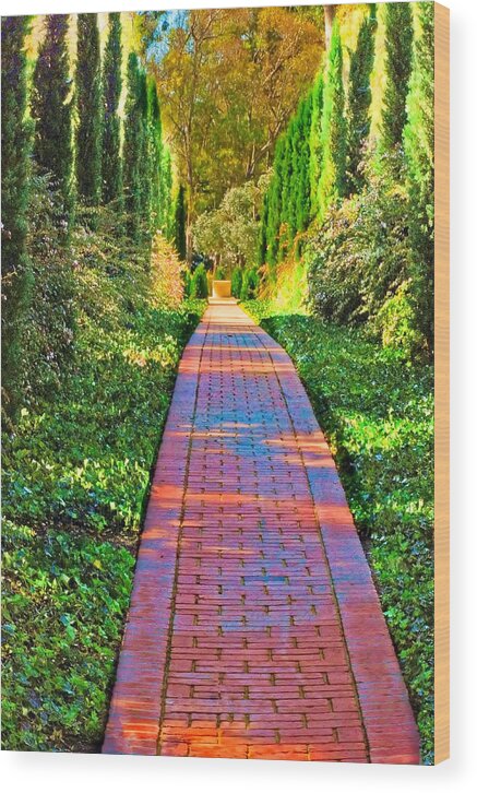 Path Wood Print featuring the photograph Brick Path by Joseph Hollingsworth