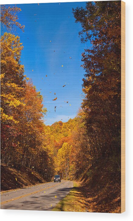 Blue Ridge Parkway Wood Print featuring the photograph Falling Fall Leaves - Blue Ridge Parkway by Dan Carmichael