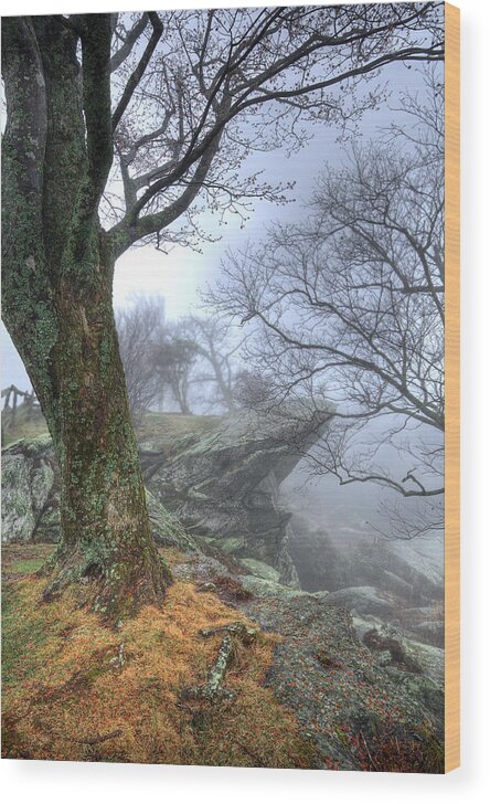 Blue Ridge Mountains Wood Print featuring the photograph Fog Rocks and Lichen in the Blue Ridge by Dan Carmichael