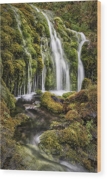 Acrylic Wood Print featuring the photograph Living Water by Jon Glaser
