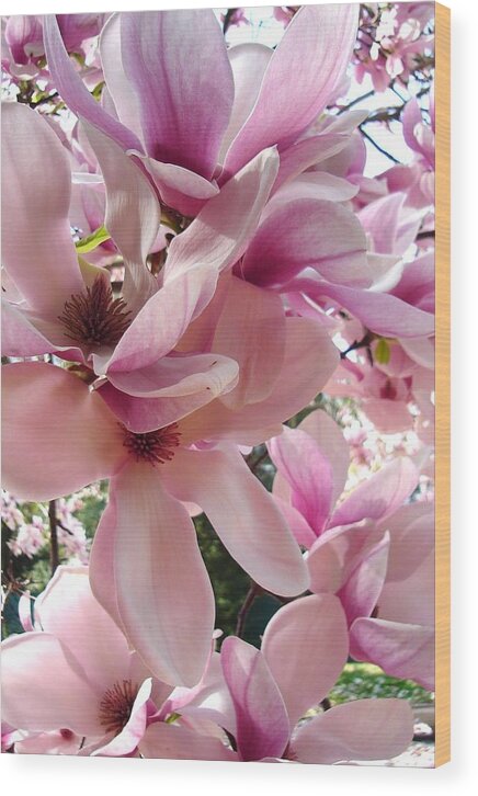 Pink Wood Print featuring the painting Magnolia by Vickie G Buccini