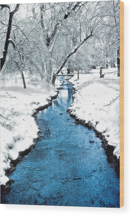 Overnight Snow Wood Print featuring the photograph Overnight Snow in Edgemont Park by Kellice Swaggerty