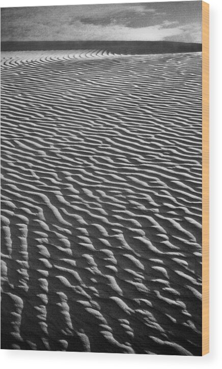 Rajasthan Wood Print featuring the photograph Rajasthan Sand Dune by Neil Pankler