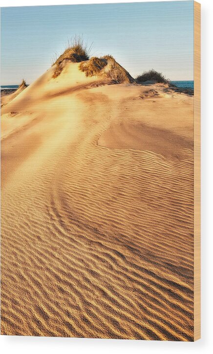 Outer Banks Wood Print featuring the photograph Sand Dune Textures - Outer Banks I by Dan Carmichael