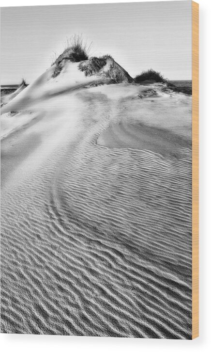 Outer Banks Wood Print featuring the photograph Sand Dune Textures - Outer Banks II by Dan Carmichael