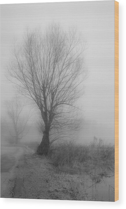 Winter Wood Print featuring the photograph Silence by Sara Hudock