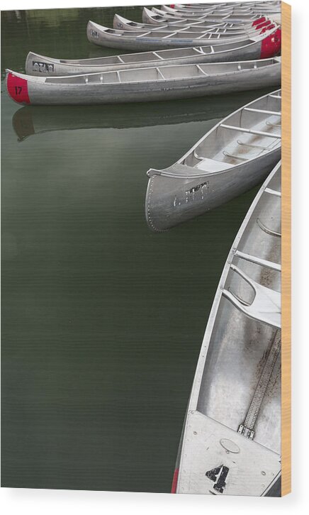 Vertical Wood Print featuring the photograph Silver Fish I by Jon Glaser