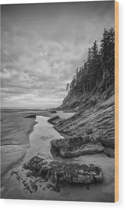 Vertical Wood Print featuring the photograph Soul without Color by Jon Glaser