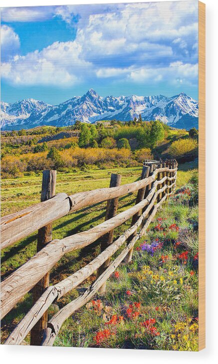 Spring Flowers Wood Print featuring the photograph Springtime in the Rockies by Rick Wicker