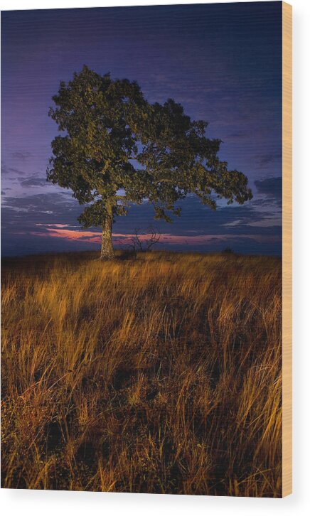 Blue Ridge Parkway Wood Print featuring the photograph Summer Sunrise on the Blue Ridge Parkway I by Dan Carmichael