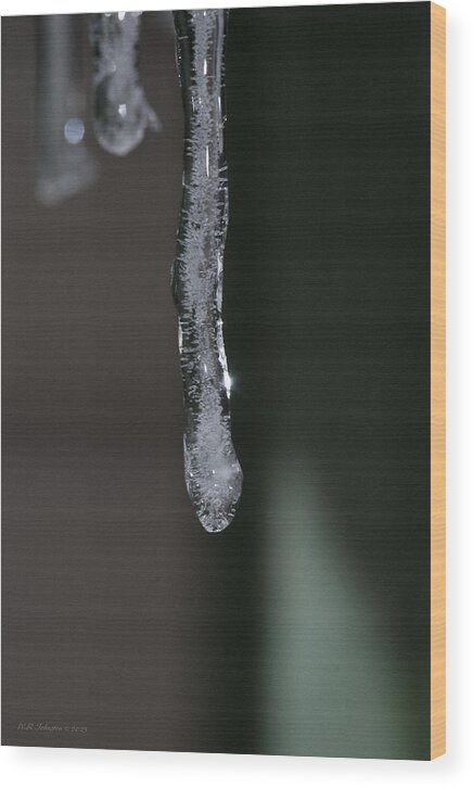 Ice Wood Print featuring the photograph Suspense by WB Johnston