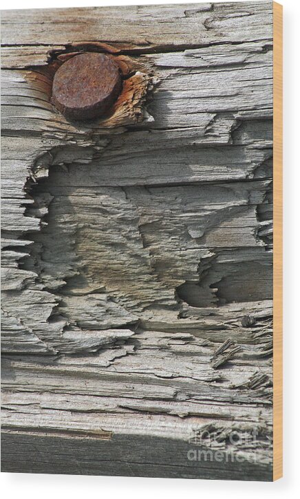Wood Wood Print featuring the photograph Weathered by Tiffany Whisler