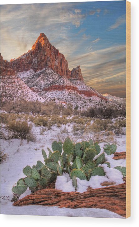 Zion National Park Wood Print featuring the photograph Winter in Zion National park Utah by Douglas Pulsipher
