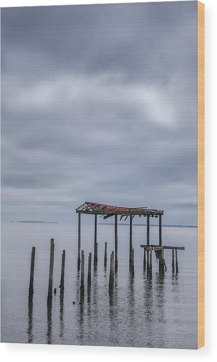 Acrylic Wood Print featuring the photograph Won't Let Go by Jon Glaser