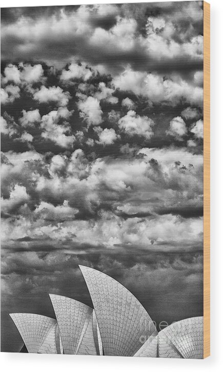 Sydney Opera House Wood Print featuring the photograph Sydney Opera House #2 by Sheila Smart Fine Art Photography