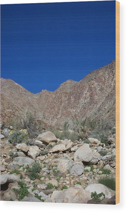 Desert Wood Print featuring the photograph Desertscape by Steve Huang