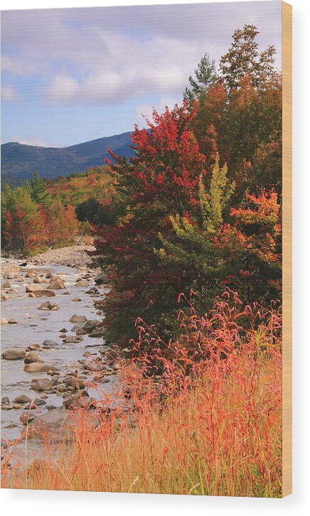 Fall Wood Print featuring the photograph Fall Color in the White Mountains by Roupen Baker