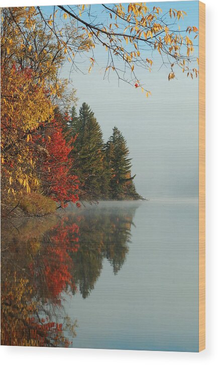 Adirondack Mts. Wood Print featuring the photograph Fall colors on Low's Lake by Peter DeFina