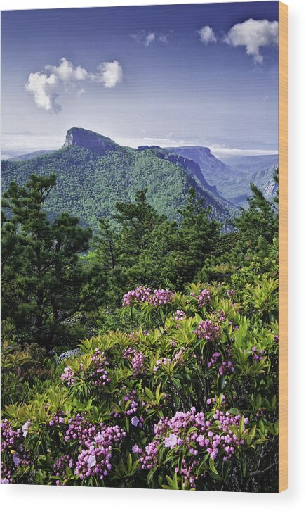Linville Gorge Wood Print featuring the photograph Table Rock by Rob Travis