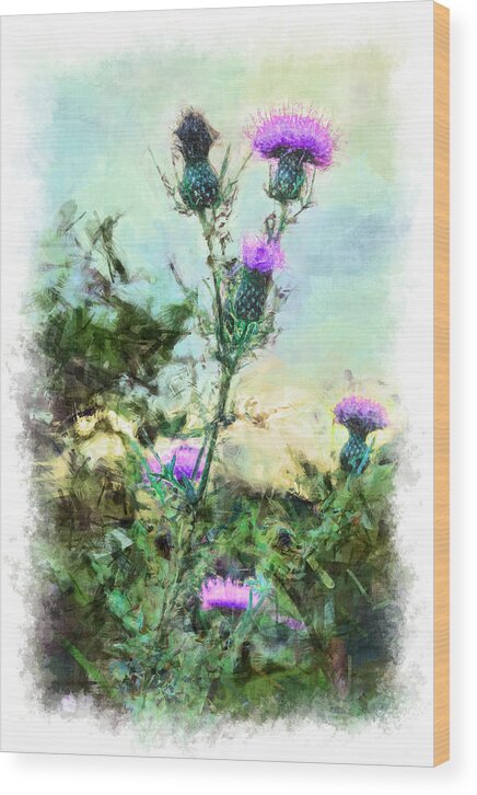 North Carolina Wood Print featuring the painting Thistle Flowers vignette by Dan Carmichael