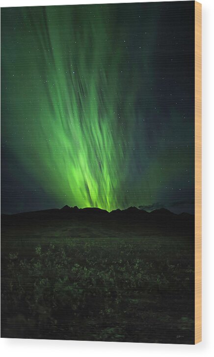Alaska Wood Print featuring the photograph Aurora Rush #1 by Ed Boudreau