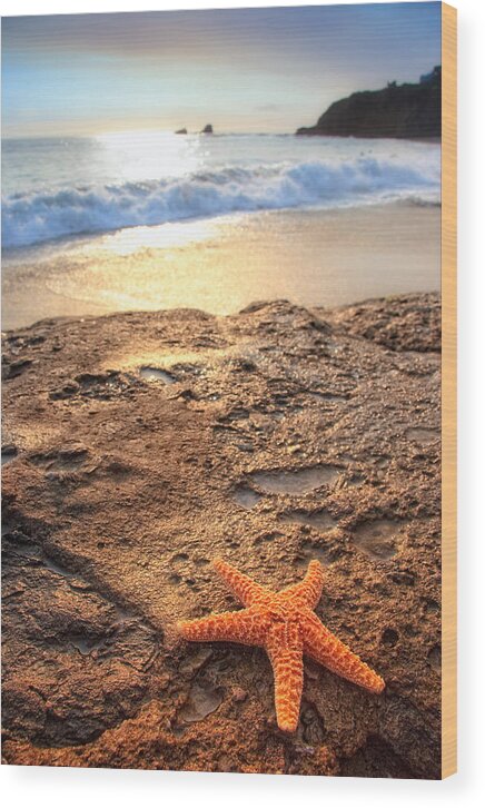 Scenery Wood Print featuring the photograph Crescent Bay Laguna Beach California #1 by Douglas Pulsipher
